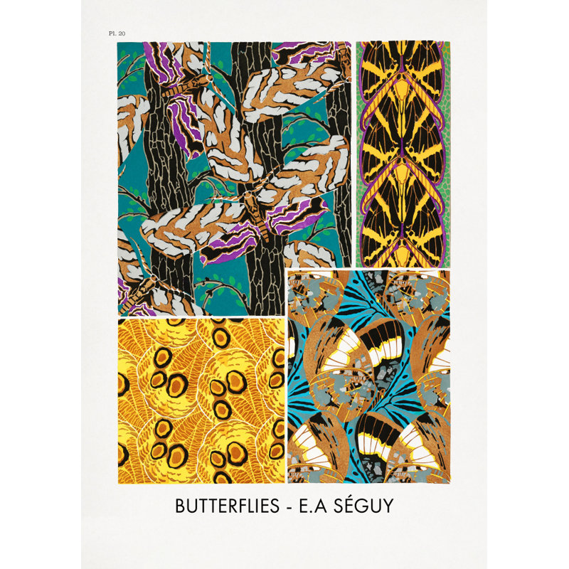 Wrapped Canvas Print, 50.8 cm H x 76.2 cm W
