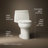 Santa Rosa Comfort Height One-Piece Compact Elongated 1.28 Gpf Toilet With Revolution 360 Swirl Flushing Technology-74768766-74768764