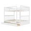 Lit Felske par Harriet Bee-535089850-472643872