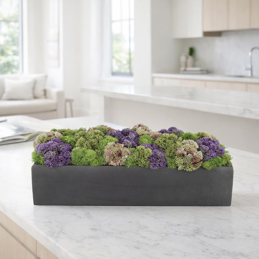 Sedum Floral Arrangement in Black Planter, Black, 7" H x 16" W x 7" D, Rectangular