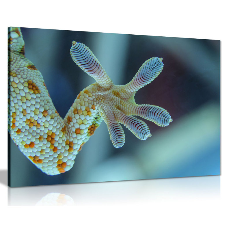 Gecko Leg Canvas Wall Art Picture Print - Wrapped Canvas Print, 20cm H x 31cm W