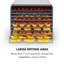 Klarstein Fruit Jerky 1000W Food Dehydrator