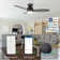 52" Alcena 3 - Blade LED Smart Flush Mount Ceiling Fans with Lights