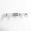 Eveline 4 Light Transparent Dimmable Vanity Light-1618508670