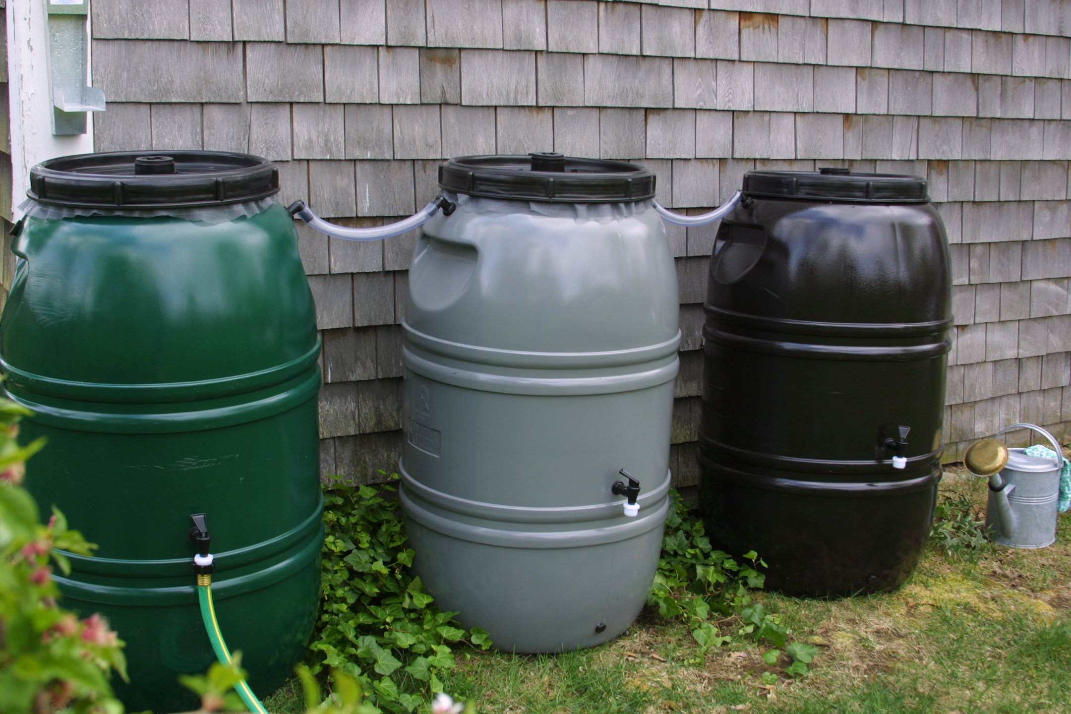 Great American Rain Barrel 60 Gal. Weather Resistan Plastic Drainable Rain Barrel & Reviews | Wayfair