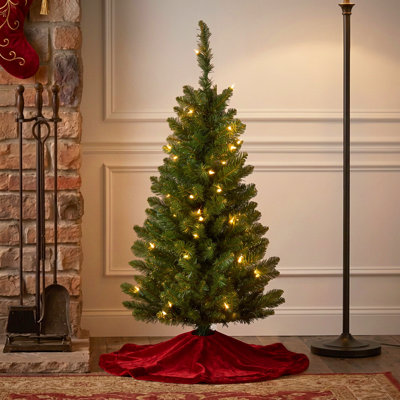 3 ft. Royal Grove Fir Christmas Tree with Clear Lights