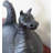 Dragon Woodstove Cast Iron Steamer