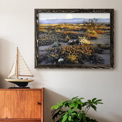Anza Borrego Desert - reproduction de cadre flottant sur toile