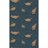 Duck Pond