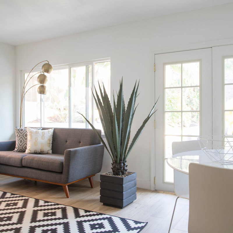 Agave artificielle de 63,5 po Roemer