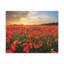 No Frame Print on Canvas-720344451