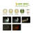 1.4'' Battery Powered Integrated LED Camping Lantern
