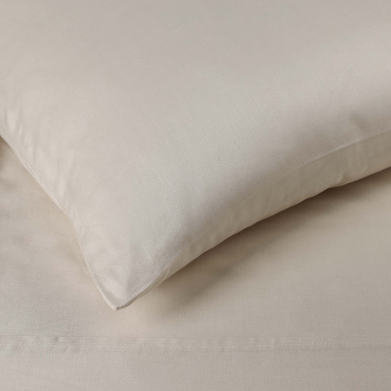 Ensemble de draps en satin de coton peigné de qualité supérieure à densité du tissage de 300 fils, Gris clair, Grand