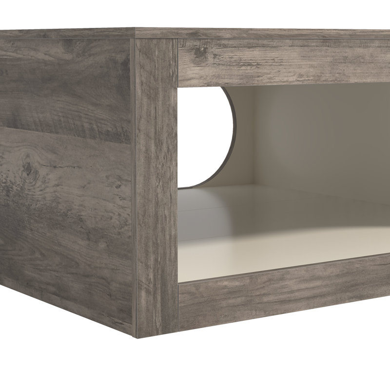 Northfleet 34.8'' W Modern Square Coffee Table with Storage, Knotty Gray Oak/Ivory