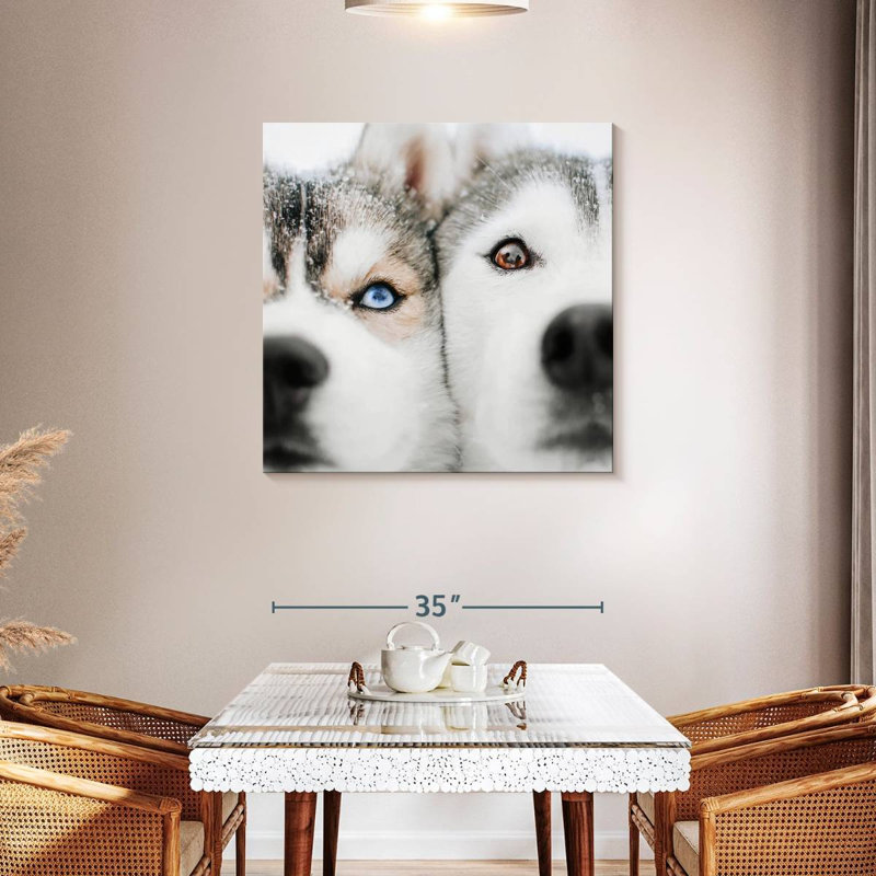 Crowle Husky Faces, 36" H x 36" W