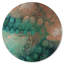 Day Octopus Round Print by David Fleetham