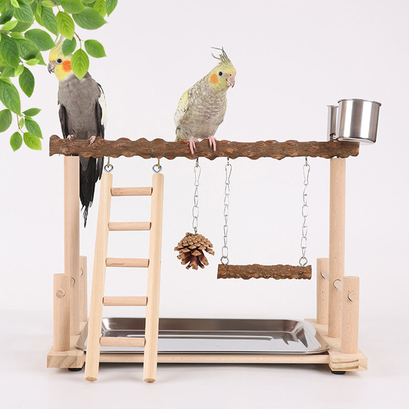 Bird Play Gym With Swing,Ladder,Tray,And Two Cups