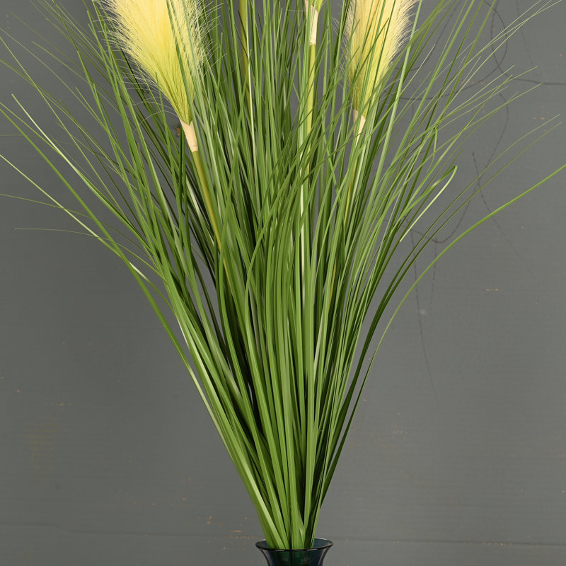 Tiges mélangées McLaughlin, Vert