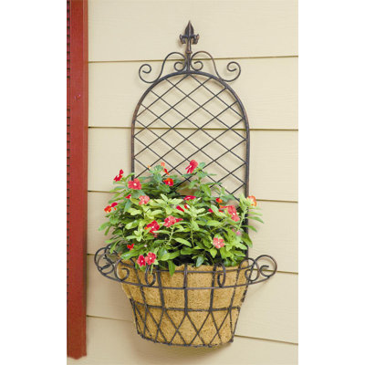 Luverne Metal Wall Planter with Trellis
