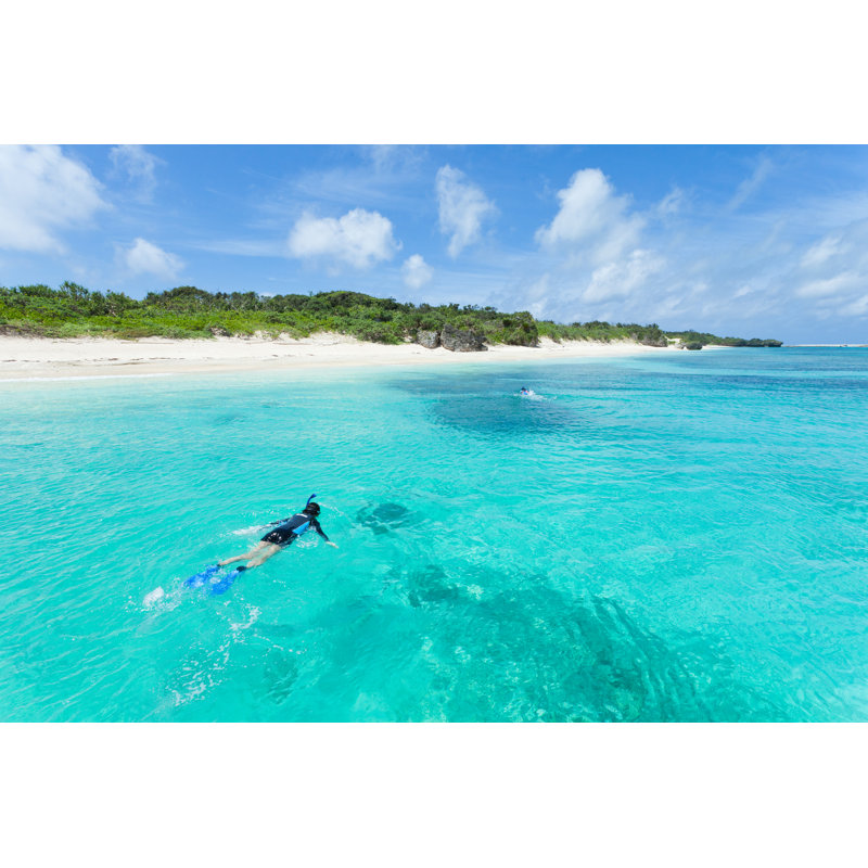 Snorkeling In Clear Blue Water - Wrapped Canvas Print, 51cm H x 76cm W x 3.8cm D