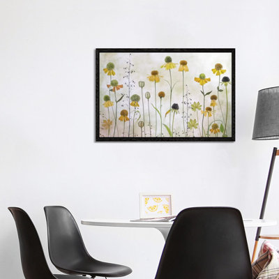 Helenium by Mandy Disher - Print on Canvas