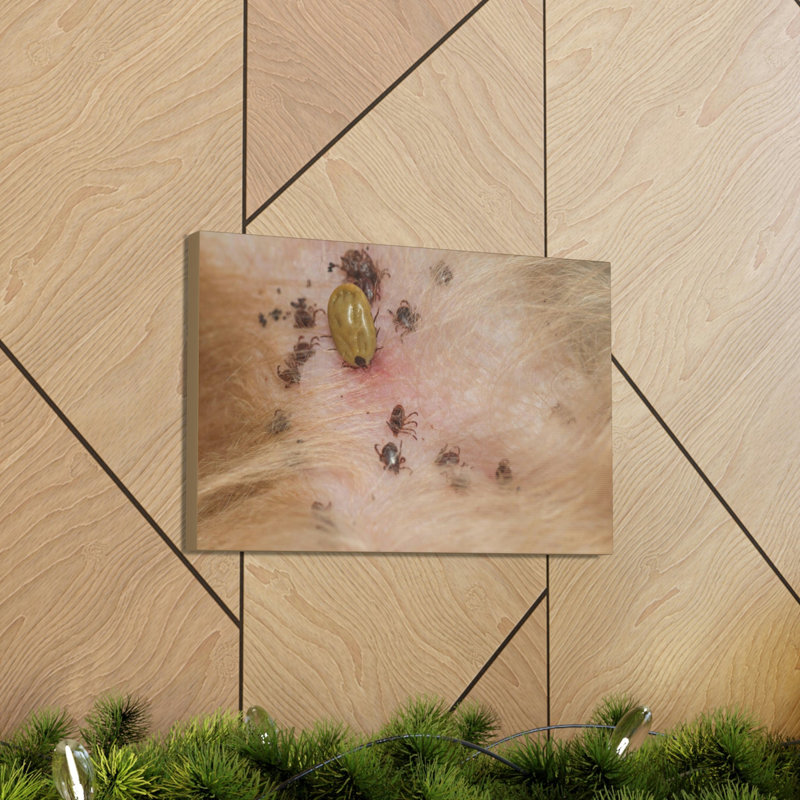 No Frame Print on Canvas, 14cm H x 11cm W