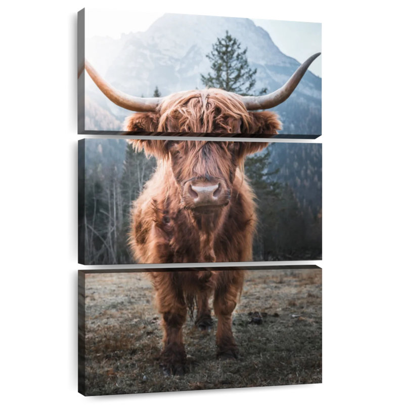 Brampt Dolomites Highland Cow, 32" H x 20" W