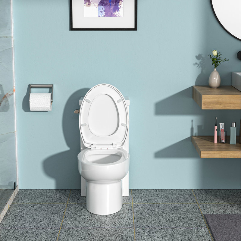 Ceramic Toilet With High - To Scratches, Easy Maintain Fully Glazed Flush System Soft Closing Seat, No Clogs
