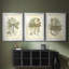 Libellule royale II (PP) - reproduction sur mesure encadrée de qualité supérieure - 3 pièces-1237851724-1237851721