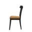 Chaise d'appoint (ensemble de 2)