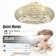 19.6'' Ceiling Fan with Light Kit