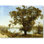 Carreau de céramique décorative 17 po x 12,75 po 4,25 po x 4,25 po