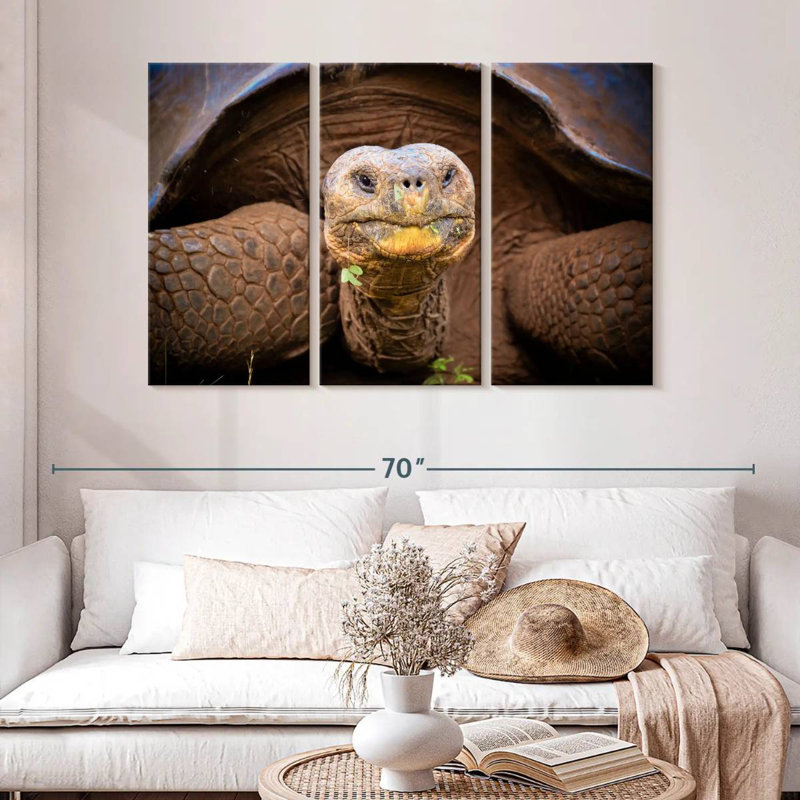 Tortue Brampt Galapagos, H 32 po x l 50 po