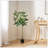 ARTIFICIAL PACHIRA MACROCARPA-1014235593