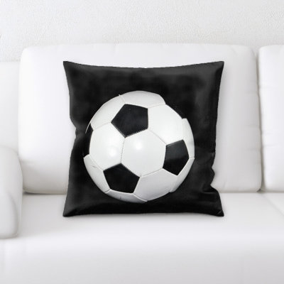 Langley Ball Square Pillow Cover & Insert
