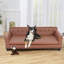 Dog Sofa-348721806