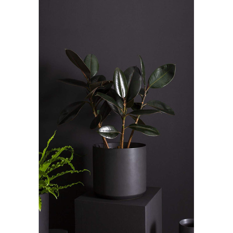 Pot à fleurs en céramique Parsons, Noir, H 2,75 po x l 3,25 po x P 3,25 po