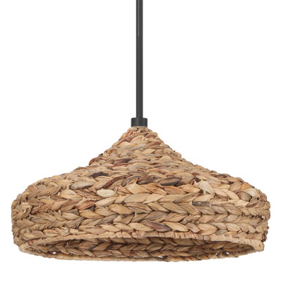 Grand luminaire suspendu 1 lumière Hunter Cambria