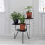 Montegue Plant Stand 3 Tier-806039068