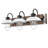 Adwait 3 - Light Dimmable Vanity Light