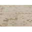 Modern One-of-a-Kind 11'10" X 16' Area Rug