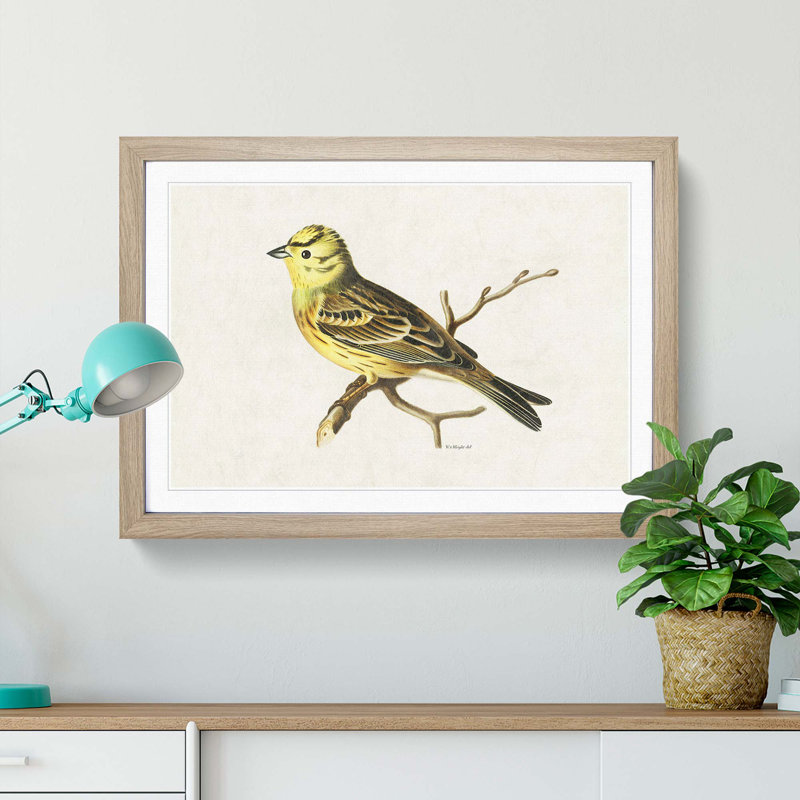 Male Yellowhammer Bird by Von Wright - Framed Print, 48cm H x 65cm W x 2cm D, Oak Framed