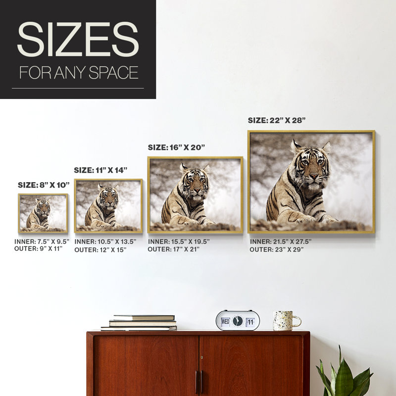 Royal Bengal Tiger -Framed Print - Restickable, 8" H x 10" W, Gold