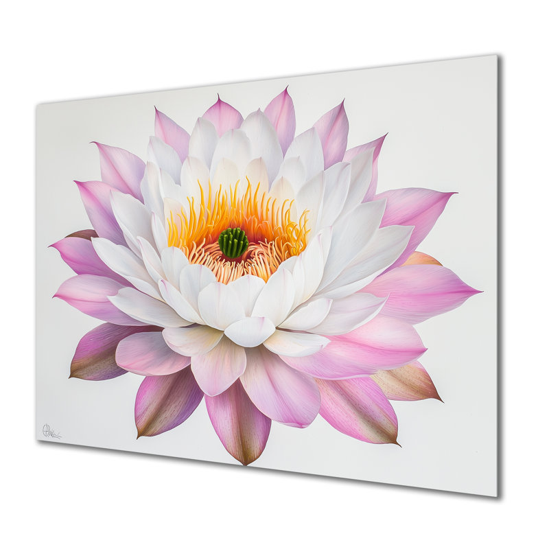 Cactus rose, cactus en fleurs, H 12 po x l 20 po x P 0,84 po
