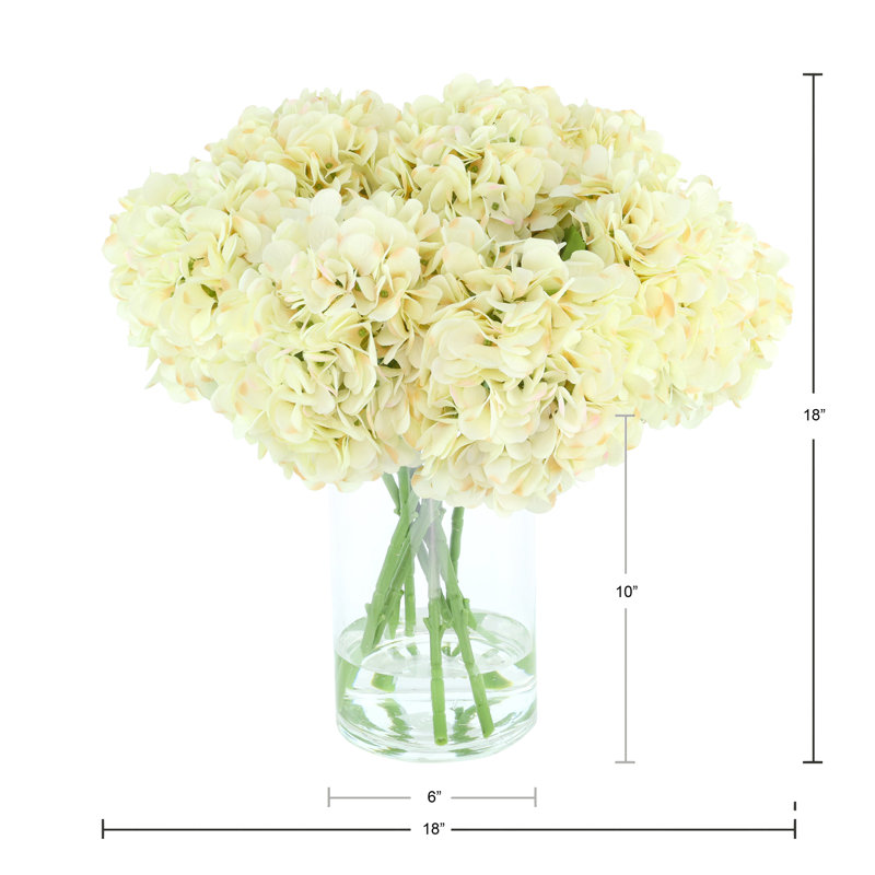 Hydrangeas Arranged in a Glass Vase, Cream