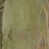 Restoration Green