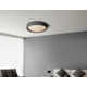 Carran Single Light Acrylic LED Flush Mount