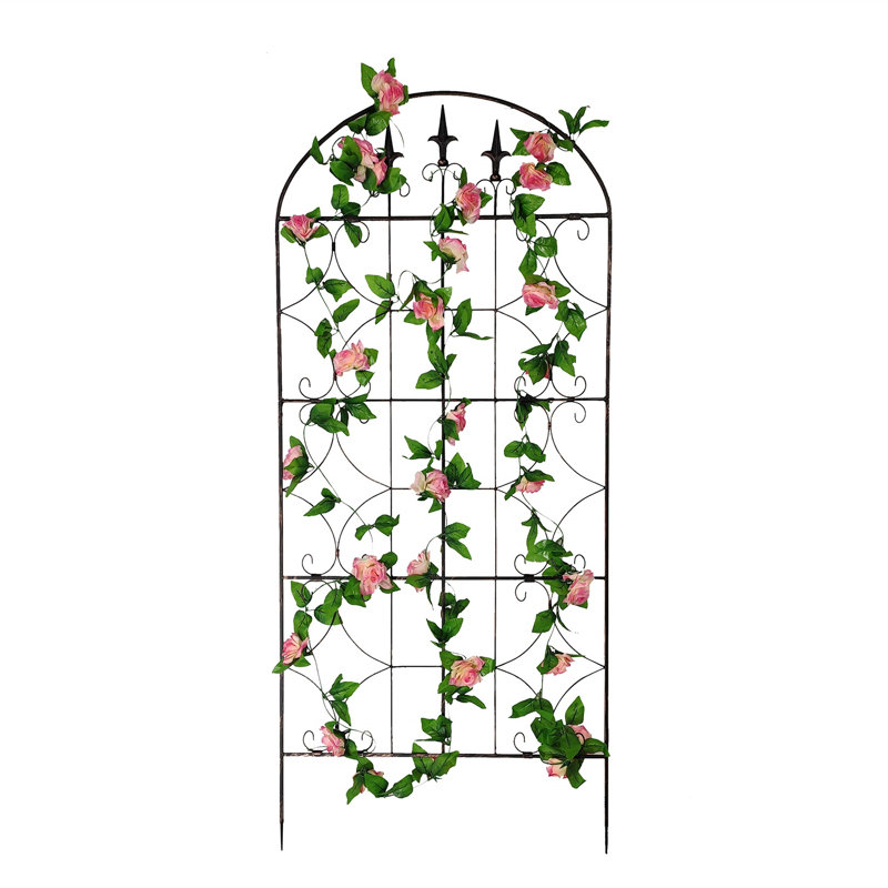 Polson 162.5cm H x 71cm W Metal Arched Trellis