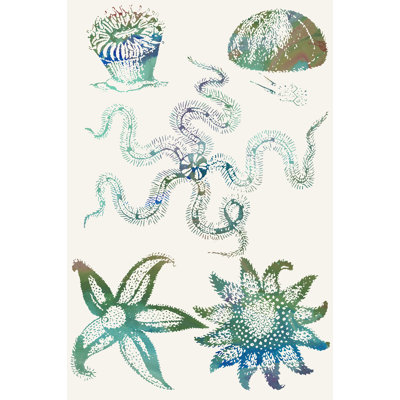 Aquatic Assemblage VII by Sharon Chandler - Painting on Canvas