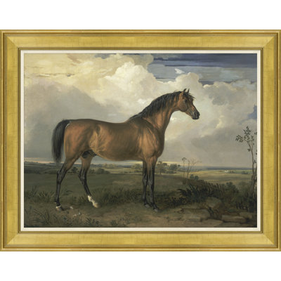 Champion Horse I Giclee Print
